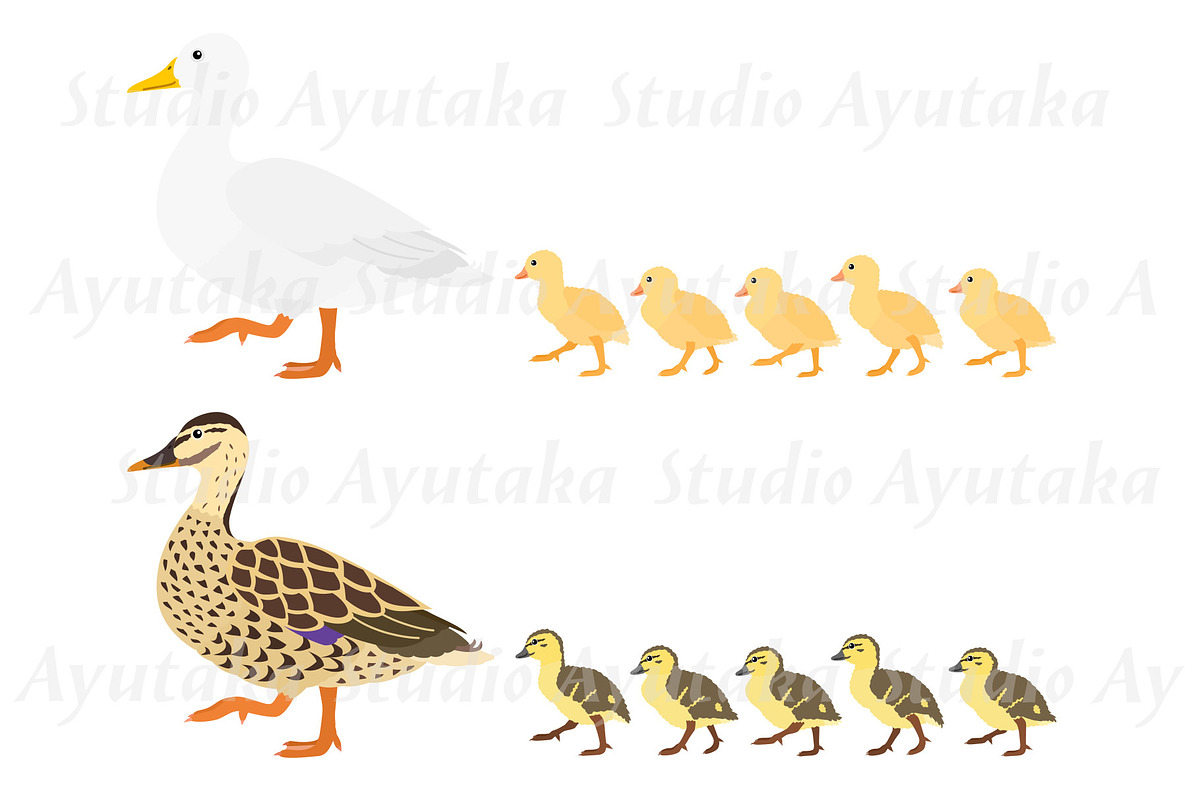 Duck Mom & Babies Clipart Set, an Animal Illustration by dogsinarow (Photo 1 of 3)