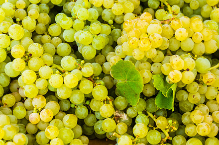 Grapes At The Market preview 5