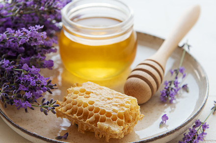 Jar with honey and fresh lavender flowers, a Food & Drink Photo by Olena Rudo