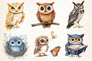 Watercolor Owl & Owlet Clipart, an Illustration by Dream Creation (Thumbnail 2 of 5)
