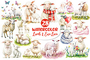 Watercolor Lamb & Ewe Love Clipart, an Illustration by Dream Creation (Thumbnail 1 of 6)