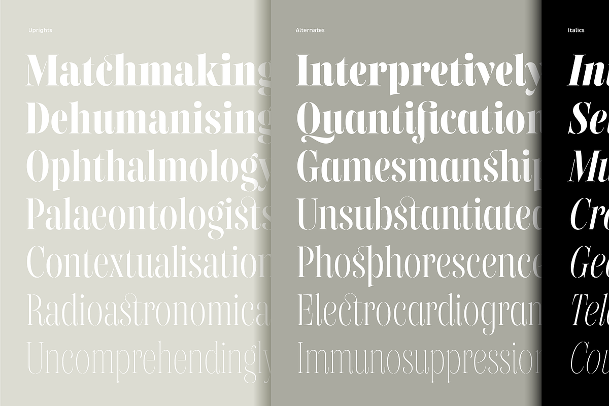 Gabriela Stencil Condensed, a Font by Lechuga Type (Photo 3 of 17)