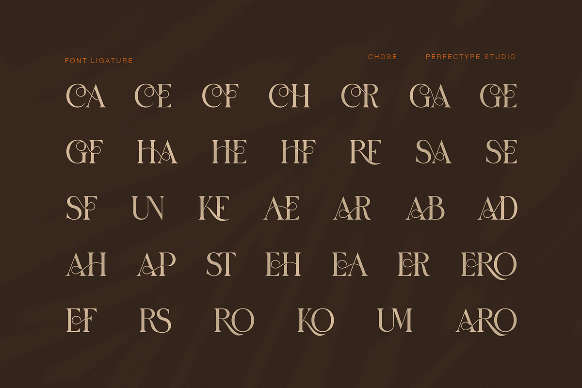 Chose Elegant Ligature Serif Font, a Serif Font by Perfectype (Photo 8 of 8)