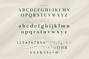 Krisma Serif - Elegant Serif Family, a Serif Font by Krismagraph (Thumbnail 10 of 15)