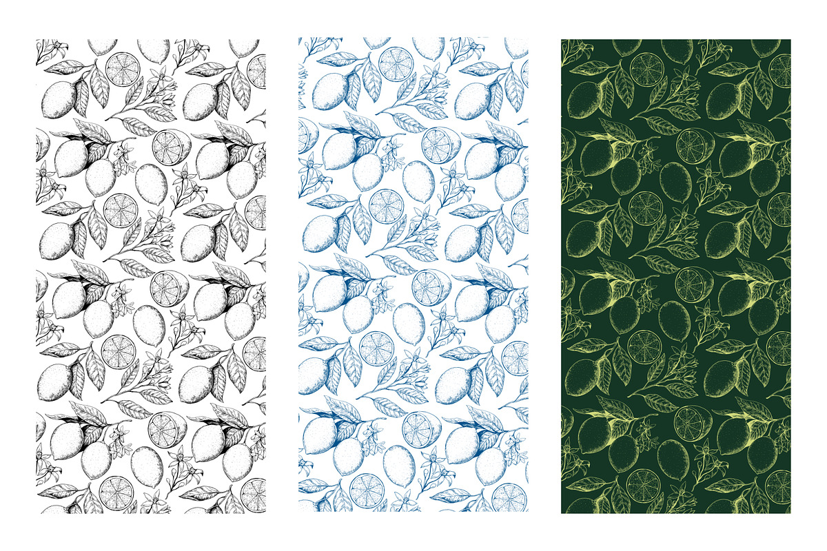 Lemon branches pattern and elements, a Food Illustration by Robusta (Photo 5 of 5)
