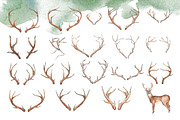 Deer & Antlers Clipart, an Icon by TigerlilyDesignCo (Thumbnail 2 of 2)