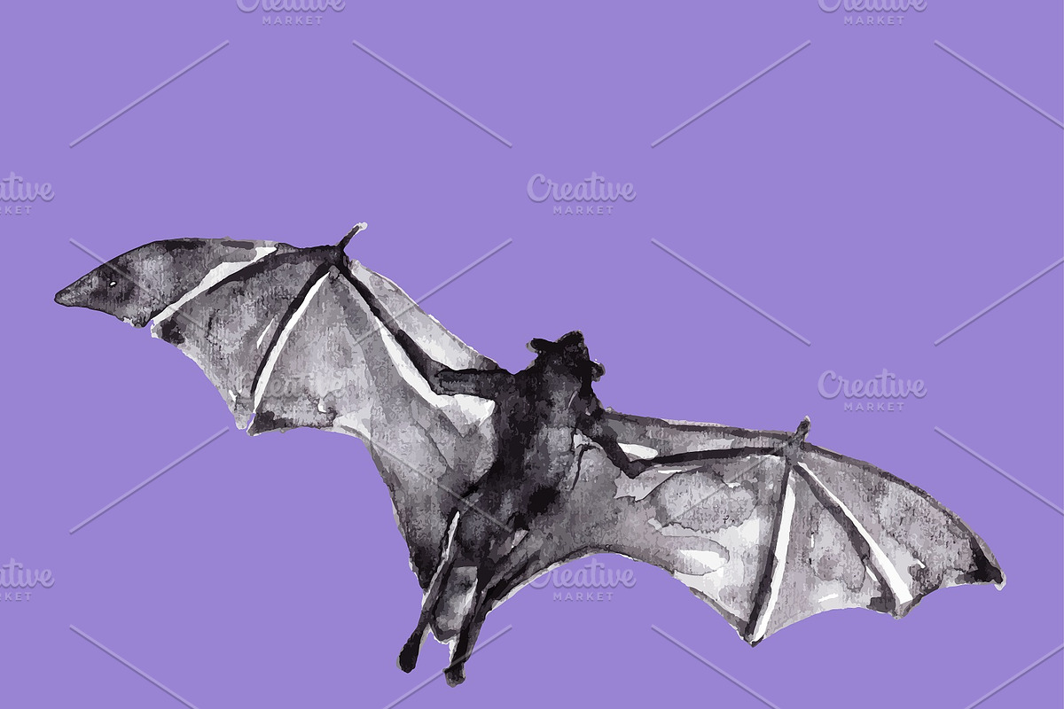 Vampire bats, watercolor/ink/vector, an Animal Illustration by Watercolor_Vector Graphic (Photo 16 of 22)