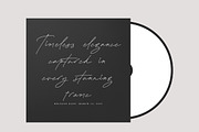 Plamstimes, a Handwritten Font by operatype.co (Thumbnail 12 of 15)