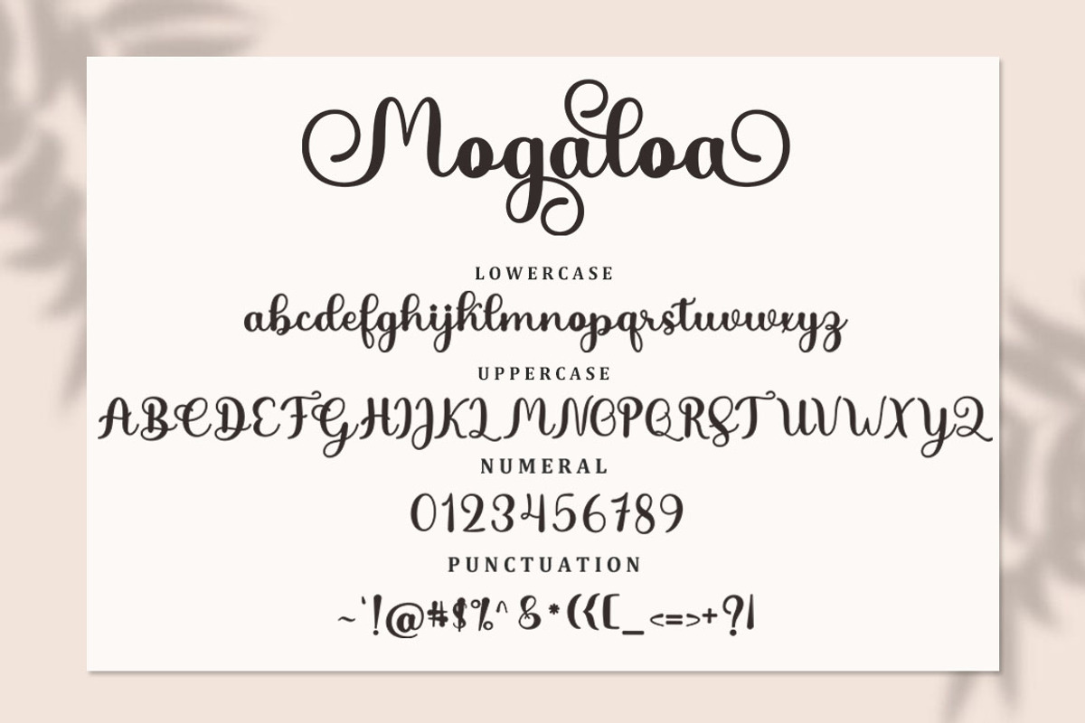 Mogaloa Script, a Script Font by Bosstype Studio (Photo 5 of 8)