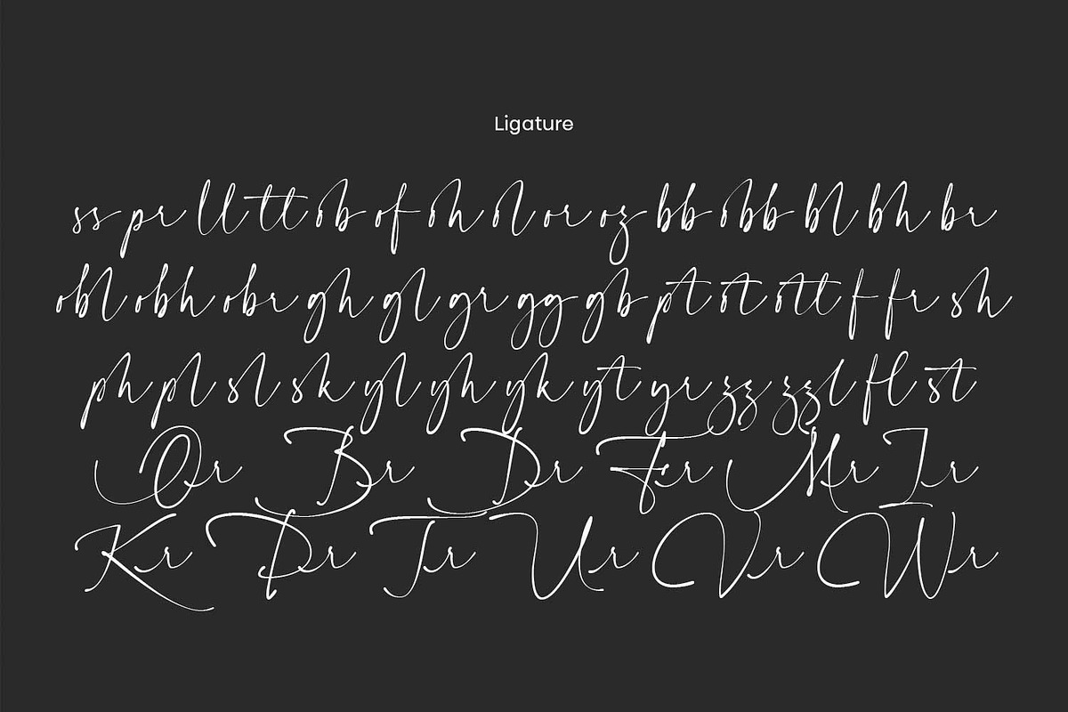 Amore Signature, a Script Font by Cititype (Photo 18 of 19)