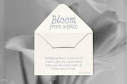 Herbarium Handwritten Font, a Handwritten Font by Lidberia (Thumbnail 2 of 7)