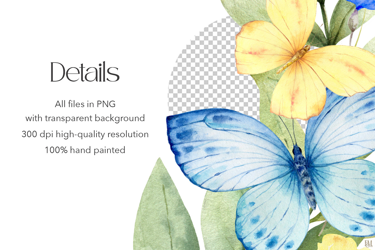 Watercolor Butterflies and Flowers, a Decorative Illustration by Elena Medvedeva (Photo 11 of 12)