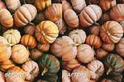 15 Moody Fall Lightroom Presets, a Preset Add-On by TheWayfarerShoppe (Thumbnail 6 of 6)