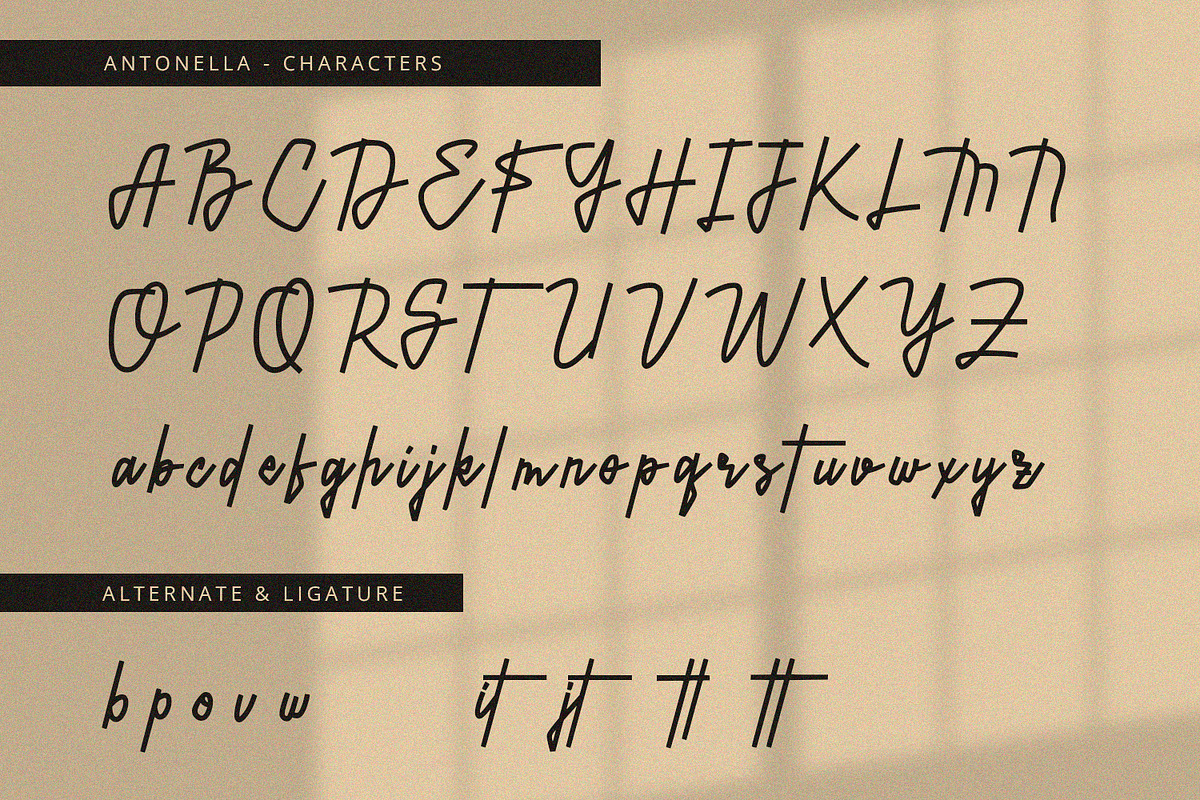Antonella - Handwritten Font, a Handwritten Font by Alpaprana (Photo 8 of 10)