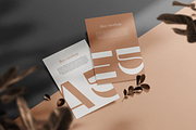 Brewer Display, a Font by VistaType (Thumbnail 9 of 10)