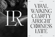 Dupioni - 6 font family, a Serif Font by Silktype (Thumbnail 2 of 21)