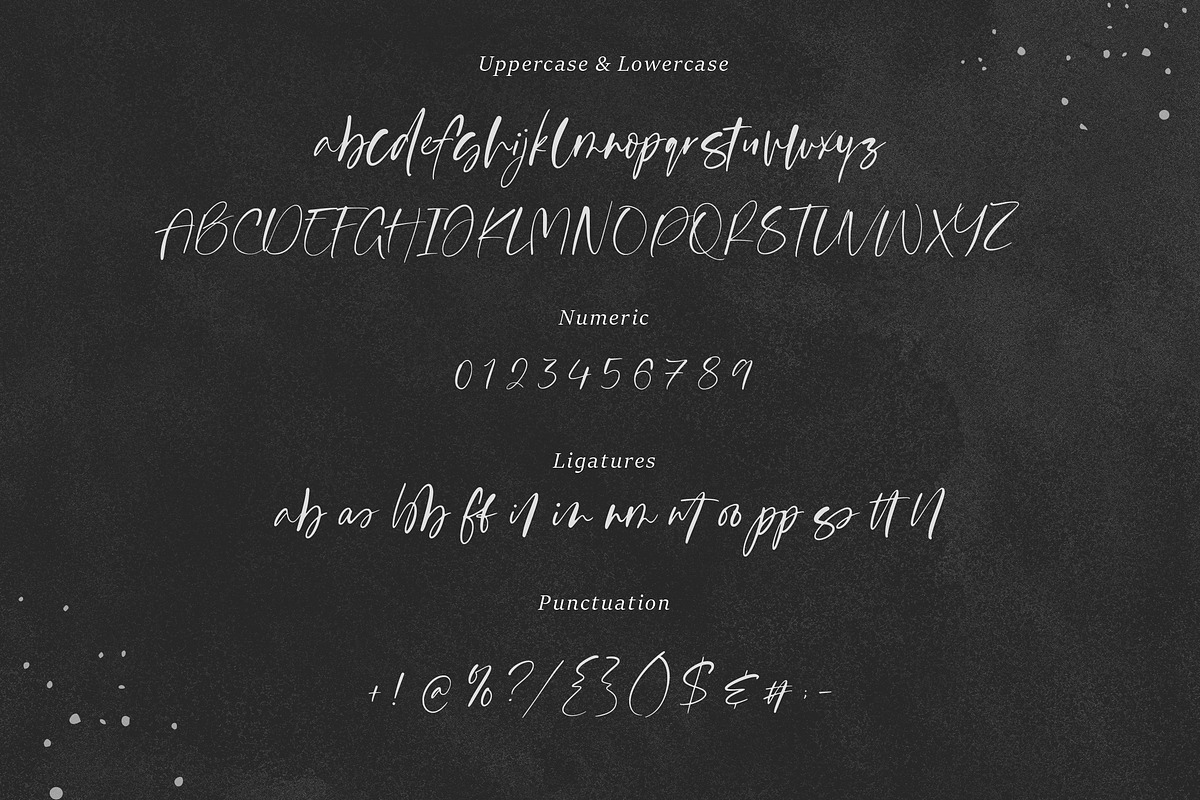 Handbook Handwritten Font, a Script Font by Letteralle Studios (Photo 9 of 10)