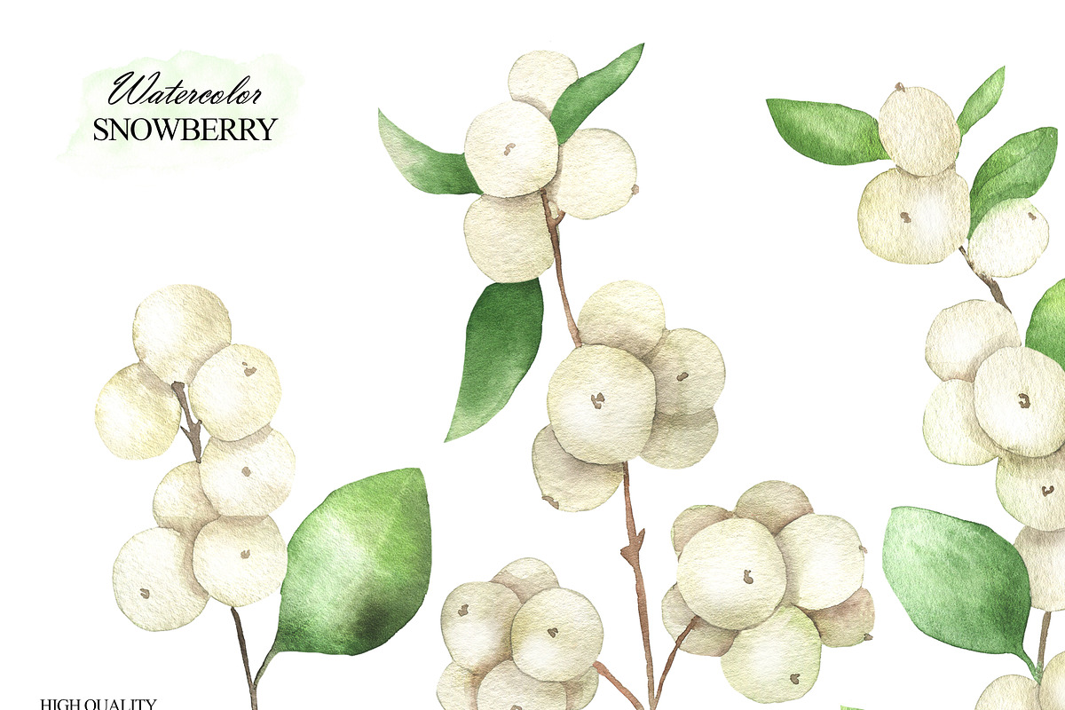 Watercolor snowberry clipart, an Illustration by OlDm_Shop (Photo 4 of 11)