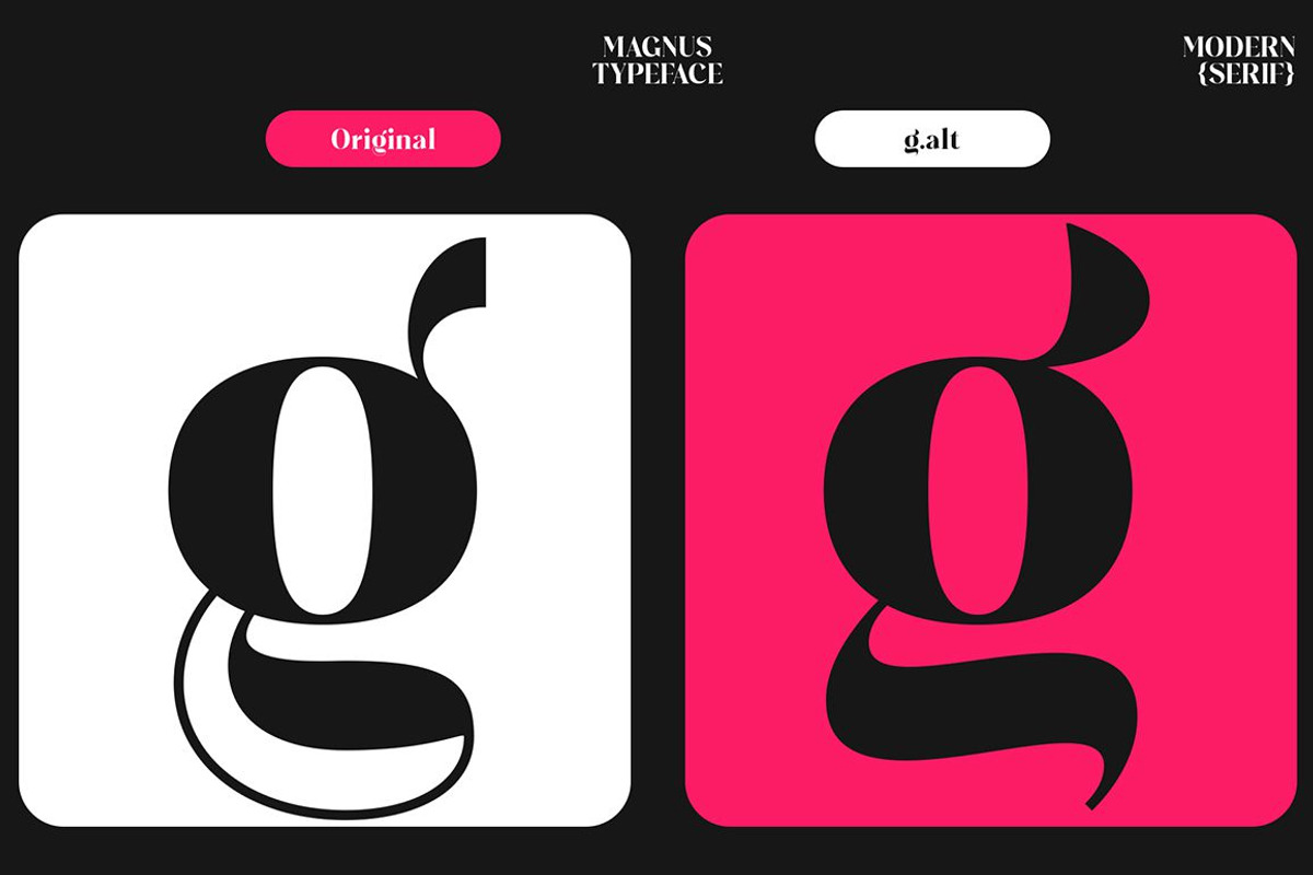 Plakent, a Serif Font by studiobasic (Photo 10 of 15)