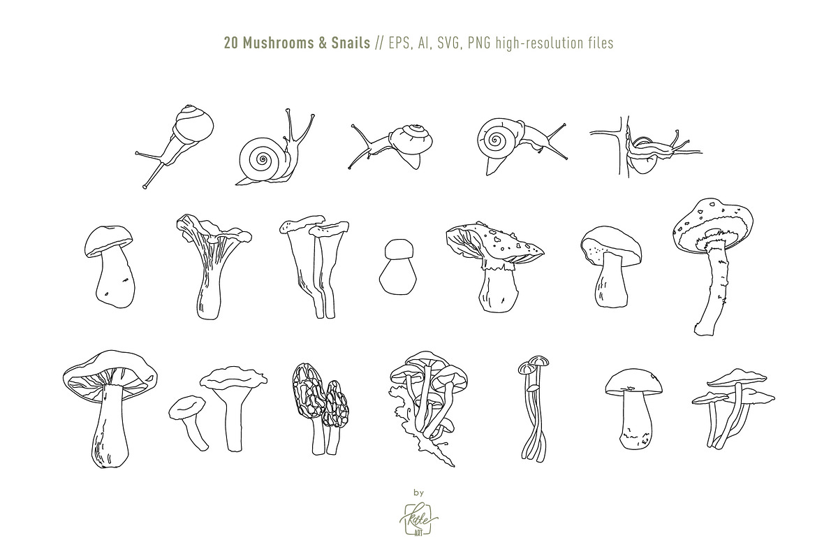 COTTAGECORE HERBARIUM, an Object Illustration by Kate Art (Photo 3 of 22)