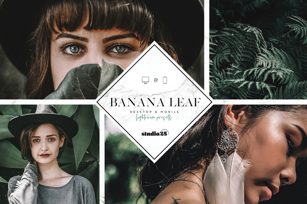3 Tropical-Botanical Presets, a Plug-in Add-On by studio25 (Photo 1 of 6)