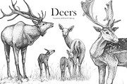 Deers, an Illustration by YuliaBiser (Thumbnail 1 of 4)