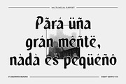 CS Snapper Drawn, a Blackletter Font by Craft Supply Co. (Thumbnail 4 of 8)