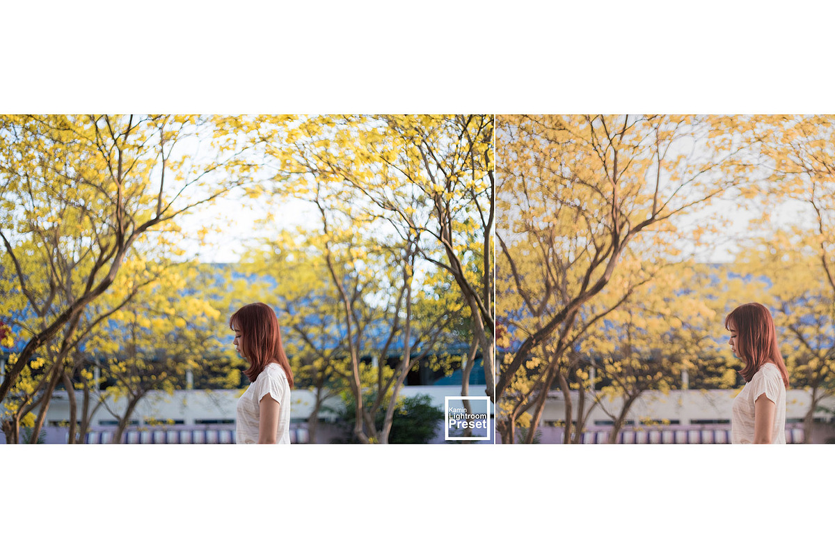 Kamin Japan Mood 1, an Action Add-On by Kamin Lightroom Preset (Photo 7 of 22)