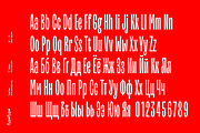 TT Trailers, a Sans Serif Font by TypeType (Thumbnail 8 of 15)