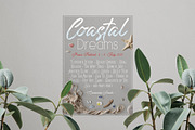 Shells png collection Photo clip art, an Object Graphic by wings of design (Thumbnail 5 of 5)
