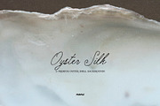 Oyster Silk | Shell Textures, a Background Graphic by Purple (Thumbnail 2 of 8)