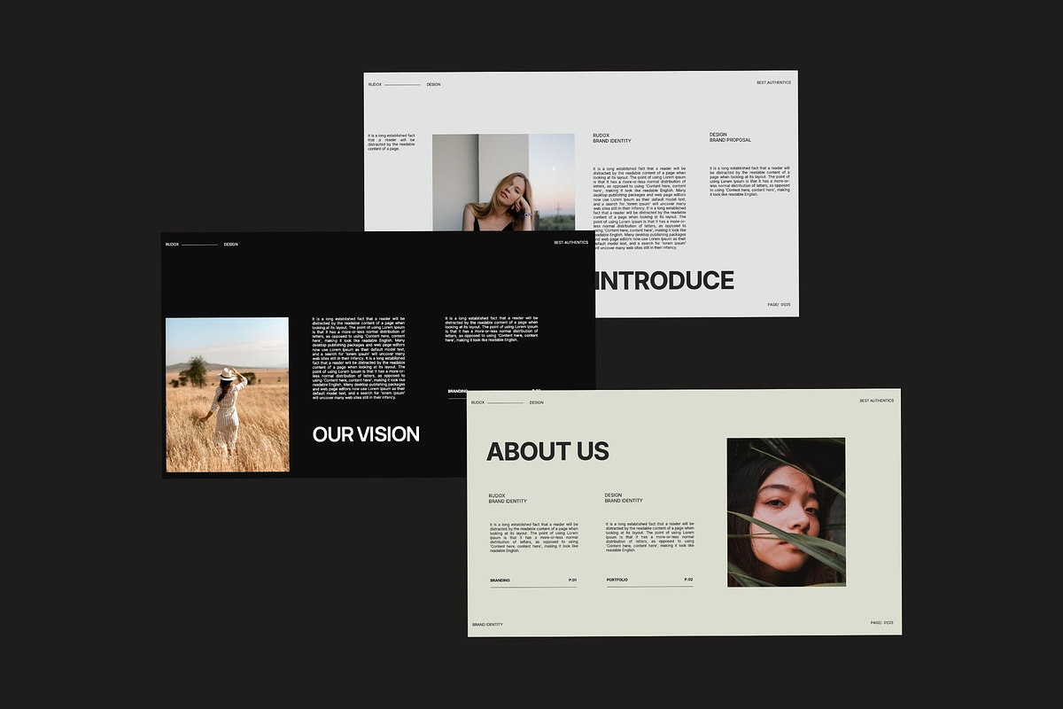 Rudox - Brand Identity Key, a Presentation Template by studiobasic (Photo 4 of 7)