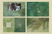 Flora Bundle - Floral Backgrounds, a Background Graphic by alonahaidash (Thumbnail 18 of 24)