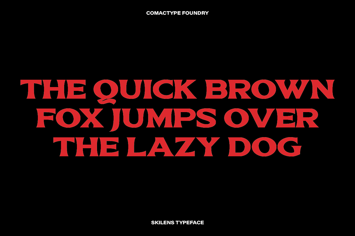 Skilens - Display Serif Typeface, a Serif Font by Comactype Foundry (Photo 18 of 20)