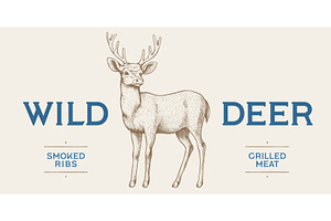 Deer. Hand drawn deer, stag, buck, an Animal Illustration by Foxys Graphic