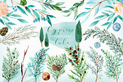 Cypress. Watercolor clipart, a Decorative Illustration by LABFcreations (Thumbnail 11 of 12)