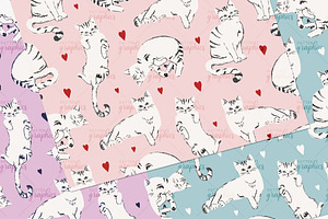 Cute Cat Pattern - Pretty House Cat