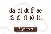 Gradual Adapty, a Serif Font by Rishsketch (Thumbnail 10 of 14)