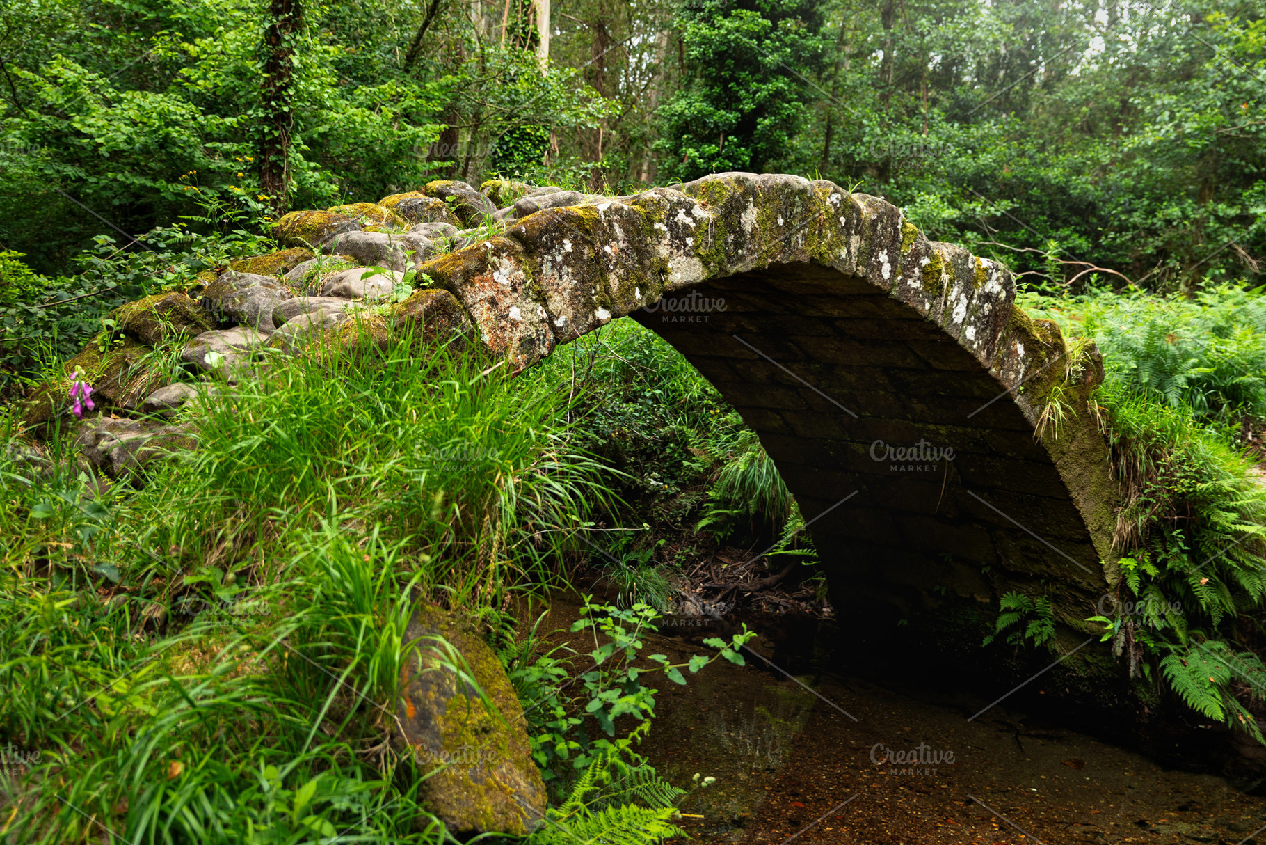 Medieval stone bridge over a stream, an Architecture Photo by Perpis
