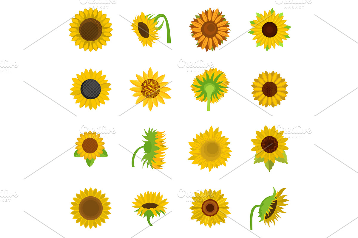Sunflower blossom icons set vector, an Object Illustration by Ylivdesign