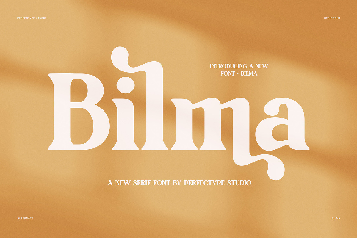 Bilma Elegant Serif Font, a Serif Font by Perfectype (Photo 1 of 8)