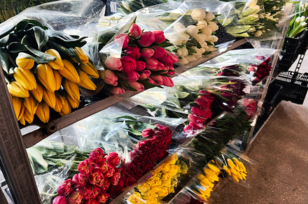 Colorful bouquets of tulips in vibrant hues displayed inside a floral shop, a Photo by AS photostudio