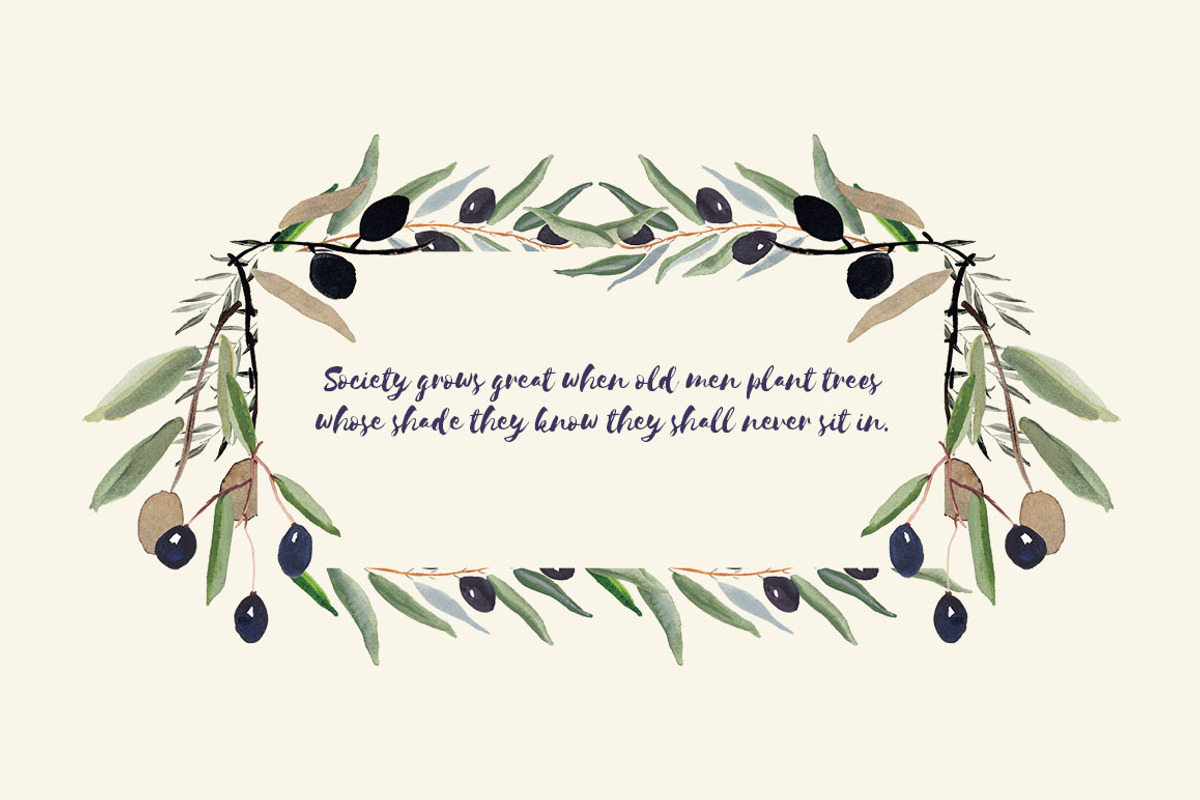 Olive Garden Watercolor Collection, an Illustration by Spirit of Colors (Photo 5 of 6)