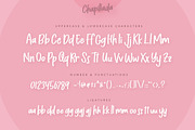 Chapillada Handwritten Font, a Handwritten Font by peterdraw (Thumbnail 8 of 8)
