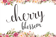 Cherry Blossom, a Script Font by Genesis Lab (Thumbnail 1 of 5)
