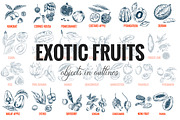 Exotic fruits. Vector collection., a Healthcare Illustration by JSolomatina (Thumbnail 3 of 9)