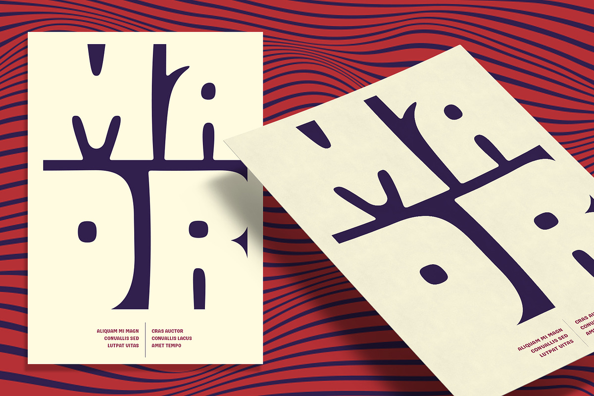 Glaw - Variable Fonts, a Font by Flavortype (Photo 15 of 20)