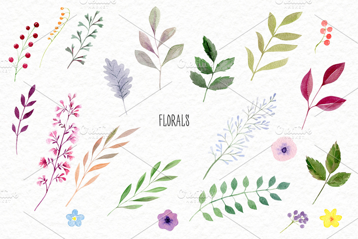 Watercolor roses & florals set, an Illustration by Elegantia (Photo 3 of 9)
