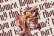 Rymaki - Modern Blackletter Font, a Blackletter Font by SilverStag Type Foundry (Thumbnail 16 of 30)