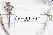 Cuassus | Script font, a Handwritten Font by Artstudio (Thumbnail 1 of 6)